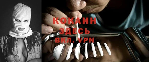 кокс Алексин