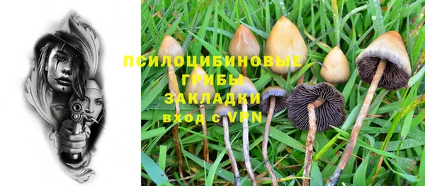 скорость Алзамай
