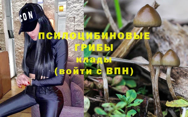 кокс Алексин